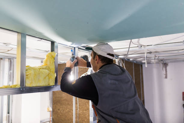 Best Commercial Insulation Services  in Lexico, CA